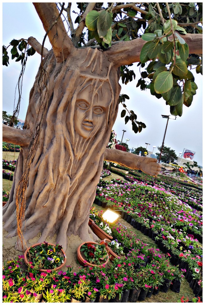 flower show 2020 @Ahmedabad