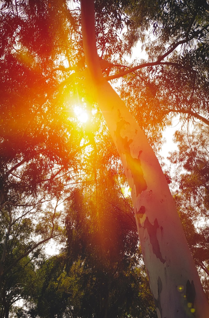 blinding hope