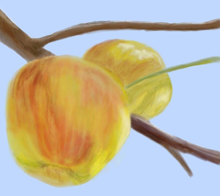 apples