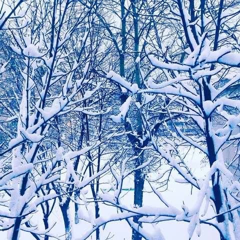First day winter
