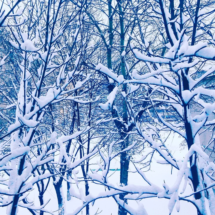 First day winter