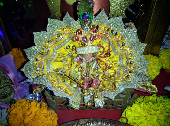 Shri Krishna Birthday Celebration India
