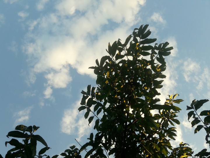небо