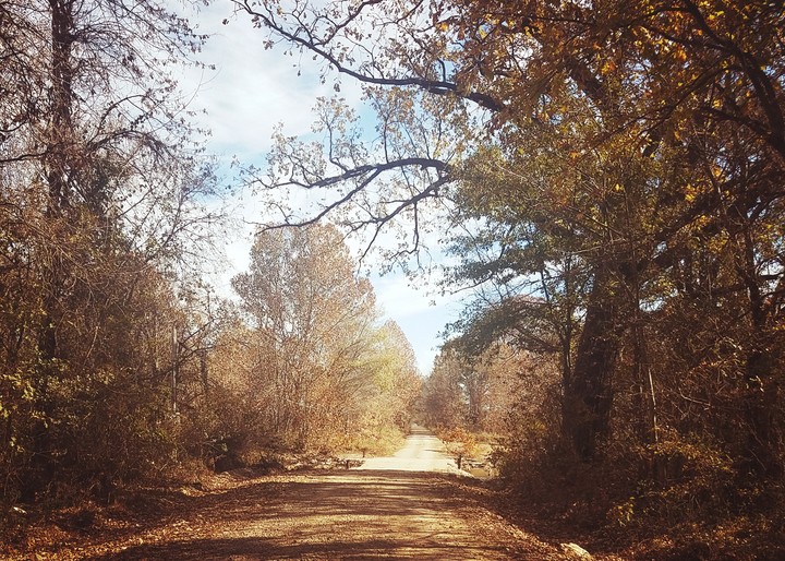 country
