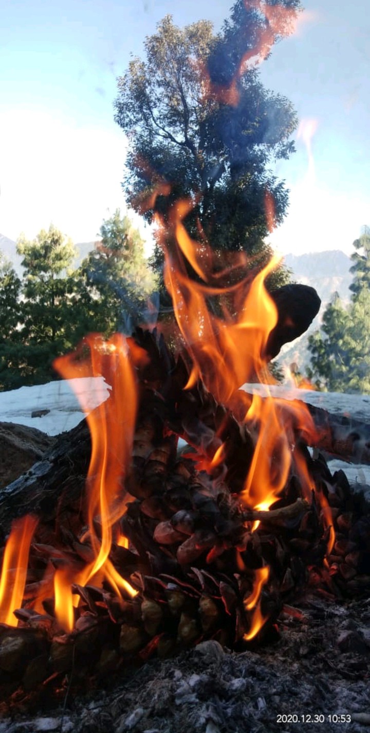fire