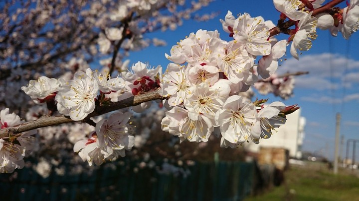 May