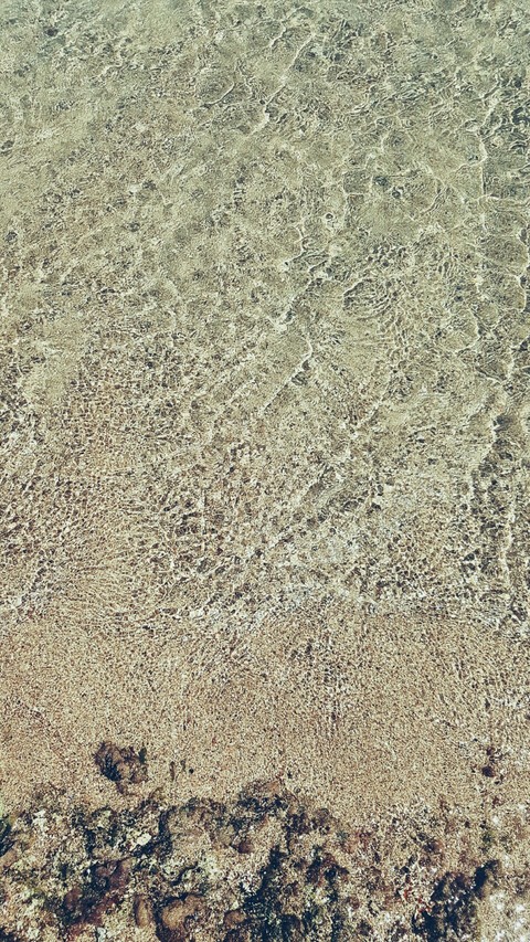 Orilla