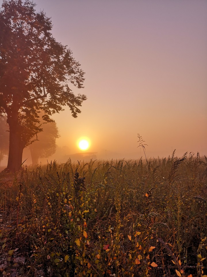 sunrising