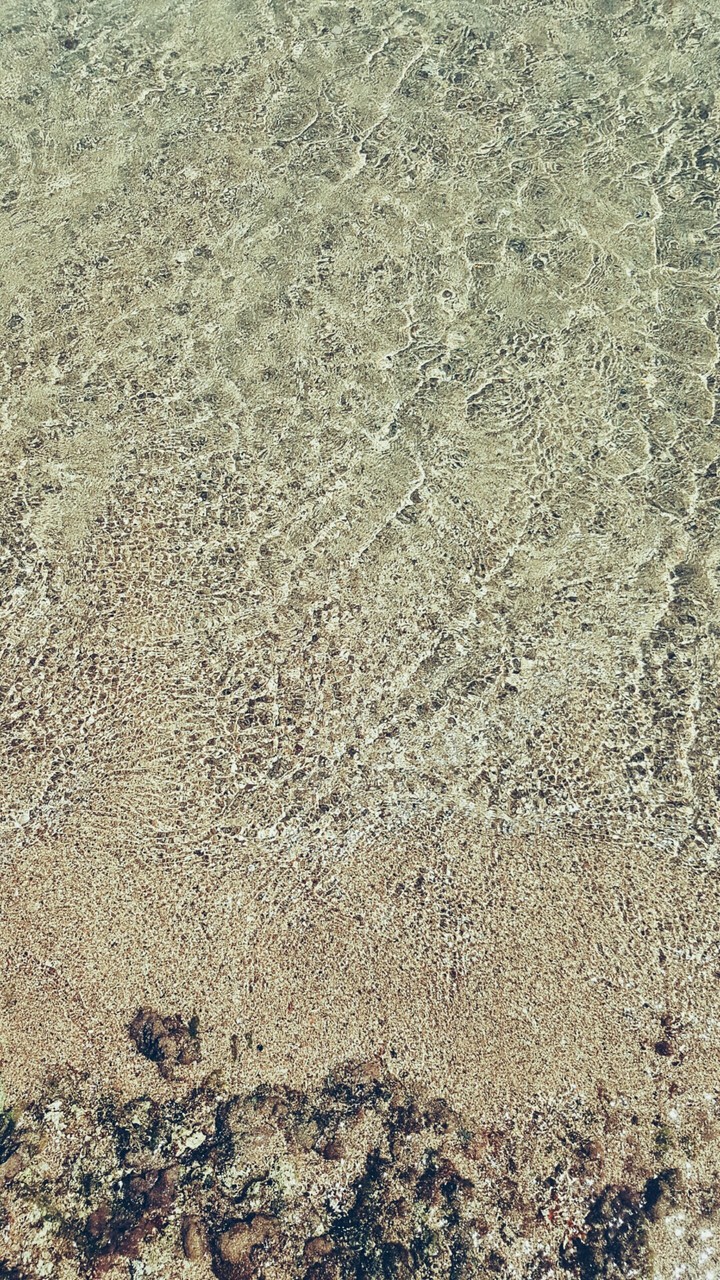 Orilla