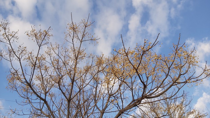 sky
