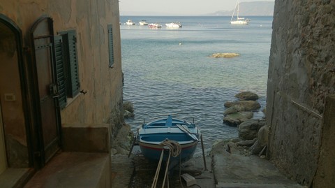Scilla