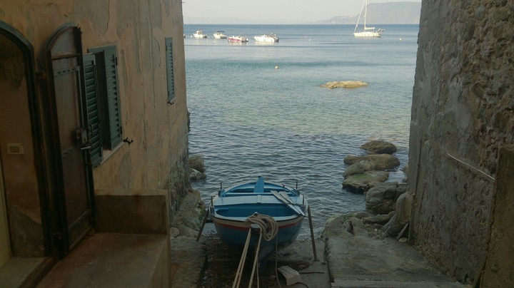 Scilla