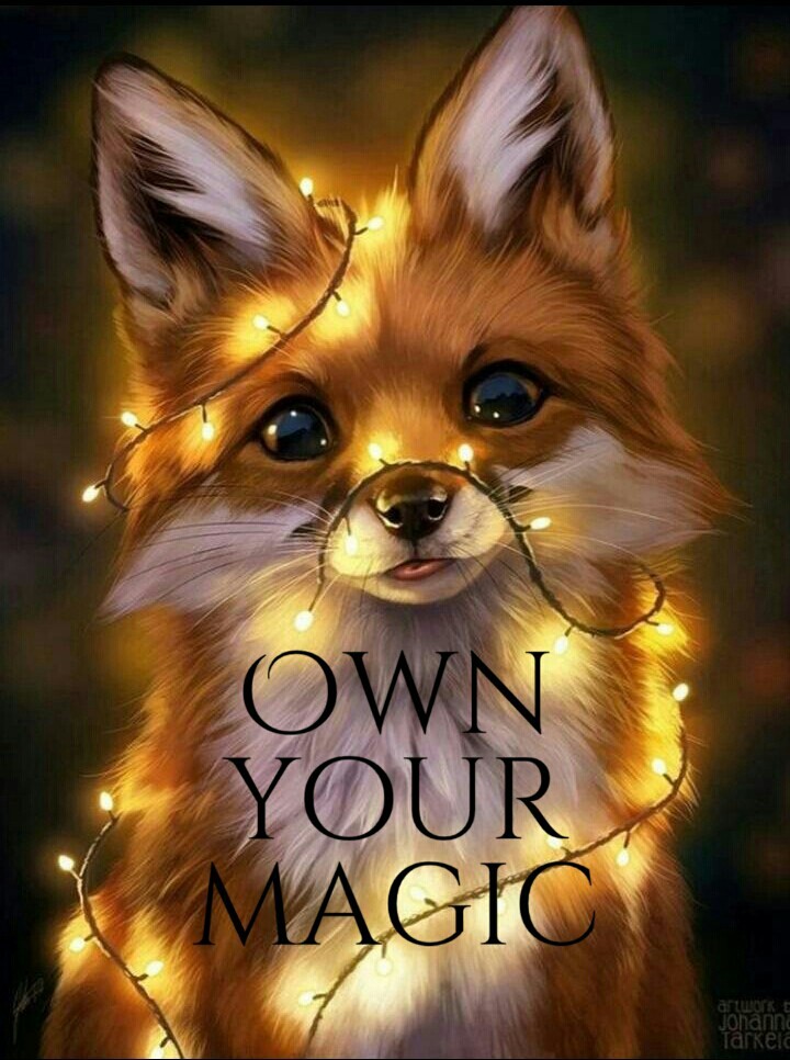 magic fox