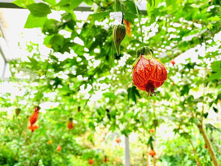 Fushoushan Farm