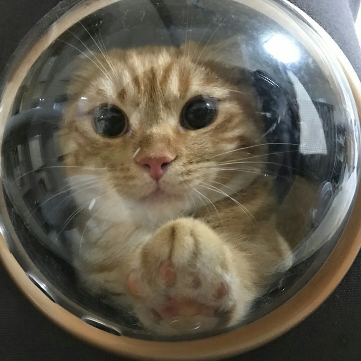 Скучаю...