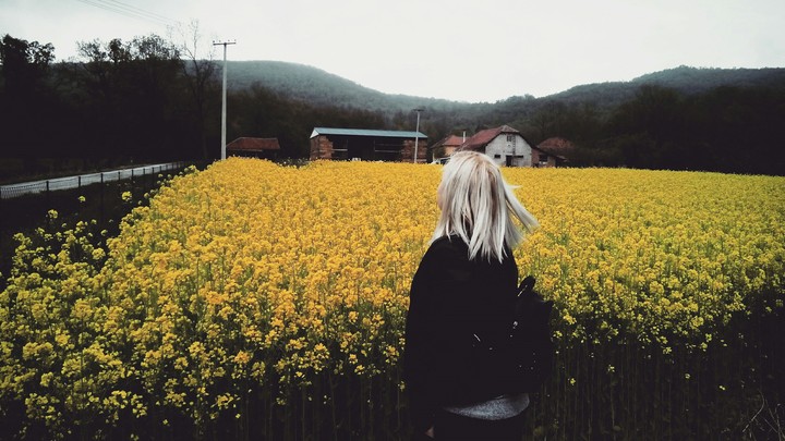 Somewhere