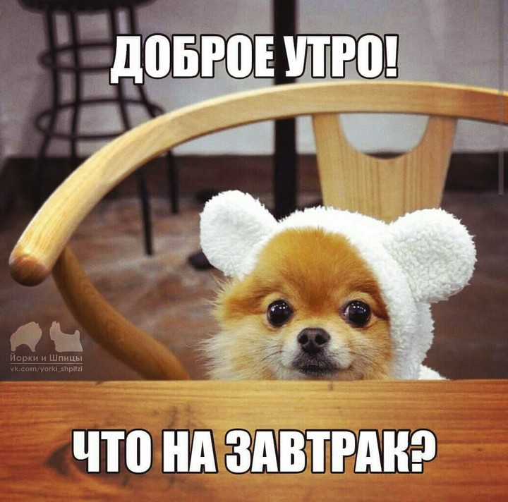 доброго утра