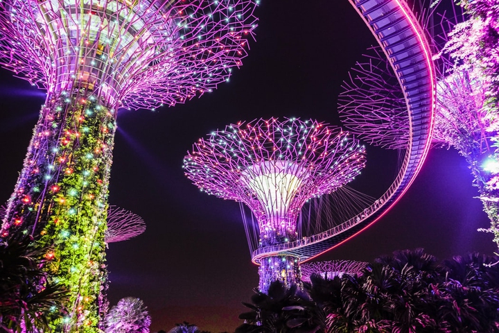 Supertree Grove, Singapore
