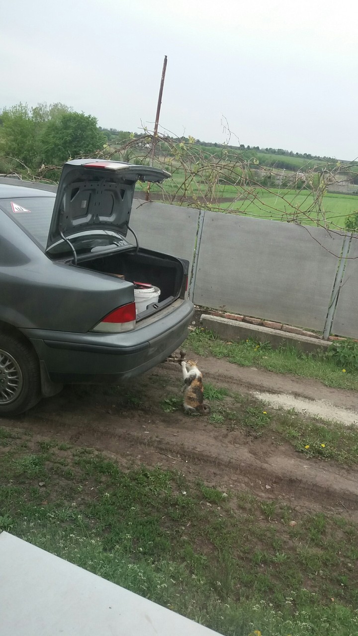 вор