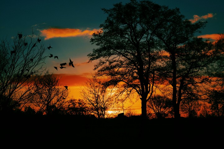 sunset