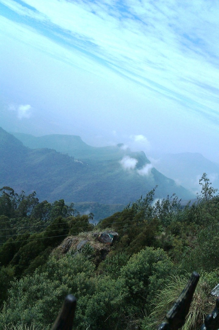 Mountain mist