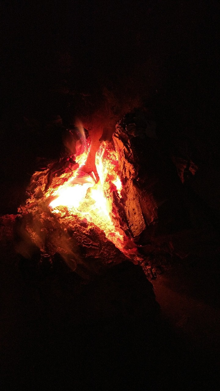 Fireplace Without Tint
