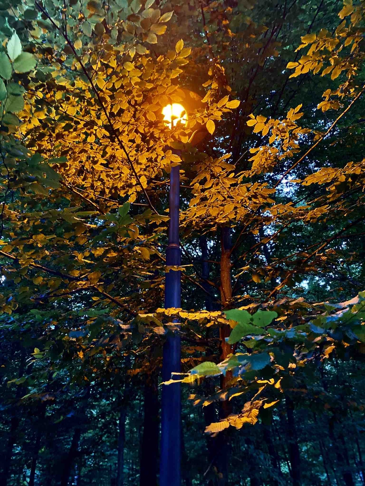 Мечты у фонаря