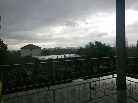 rainy day in spring