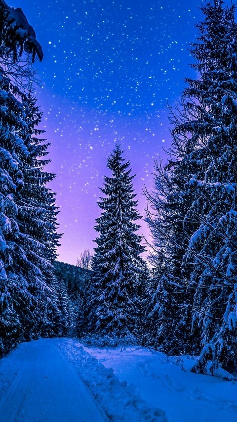 зимние каникулы