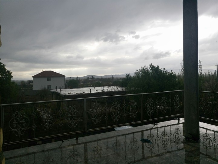 rainy day in spring