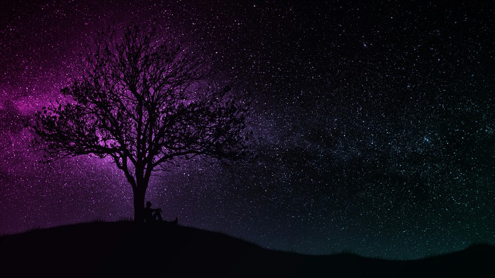 #A Purple Night