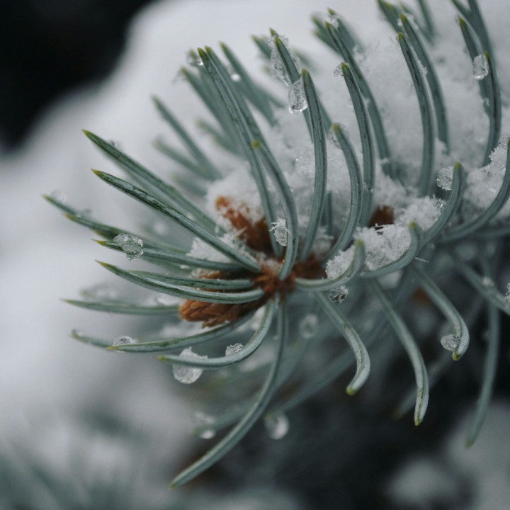 winter
