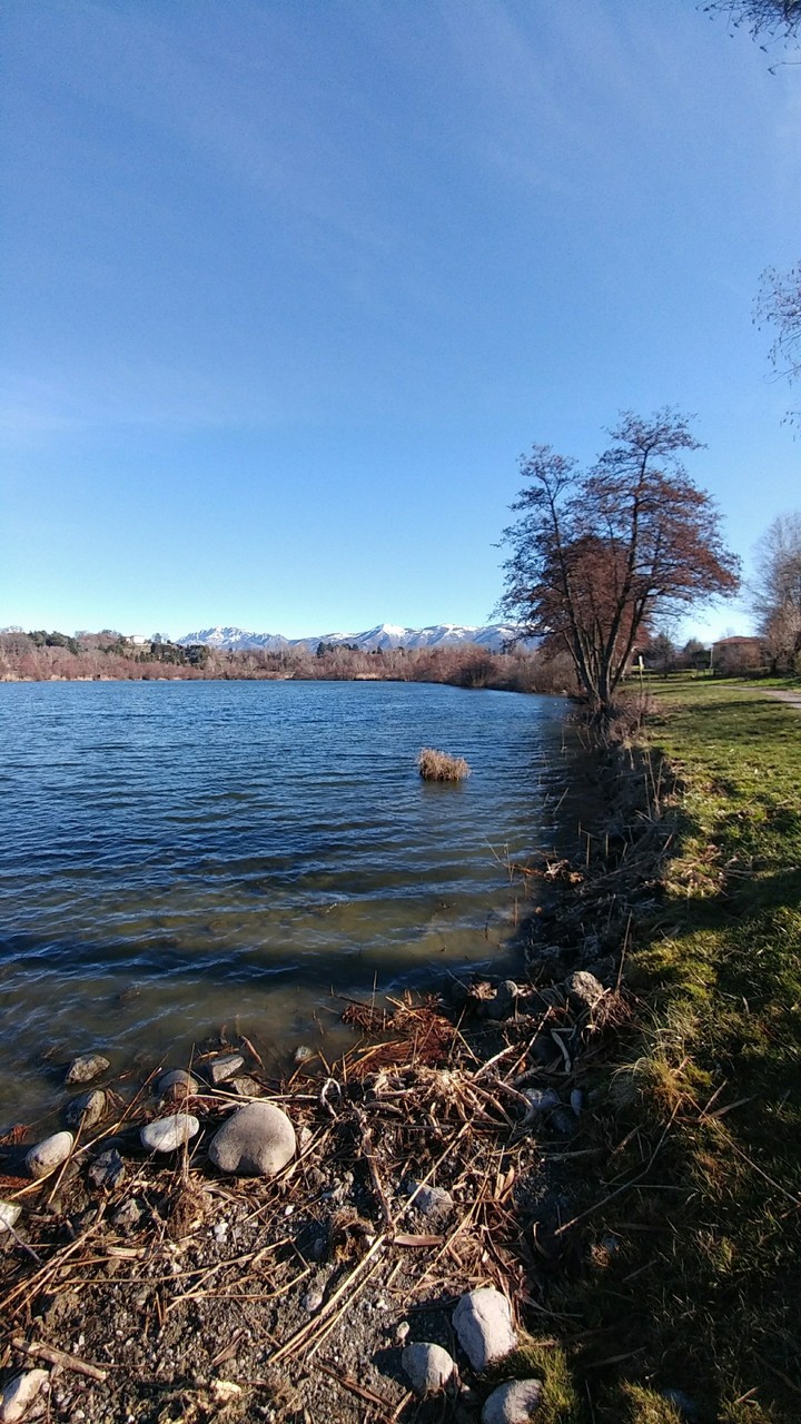 Lake of Sartirana