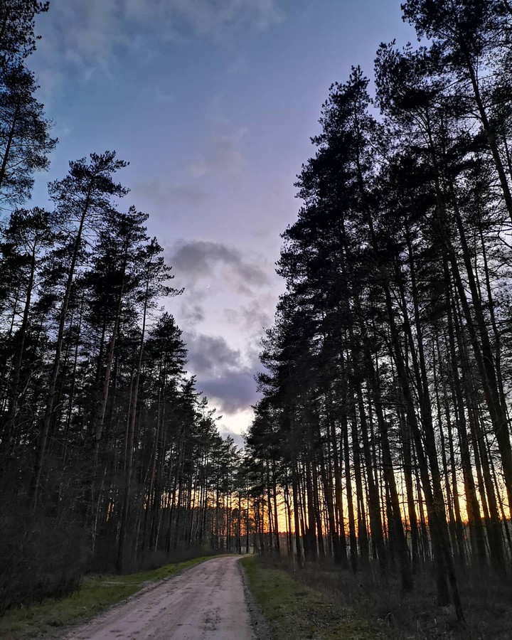 sunset in spring