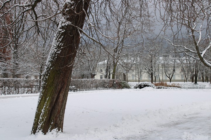 Winter