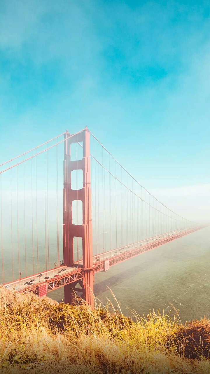 Bridge