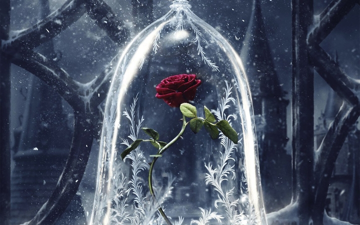 love rose