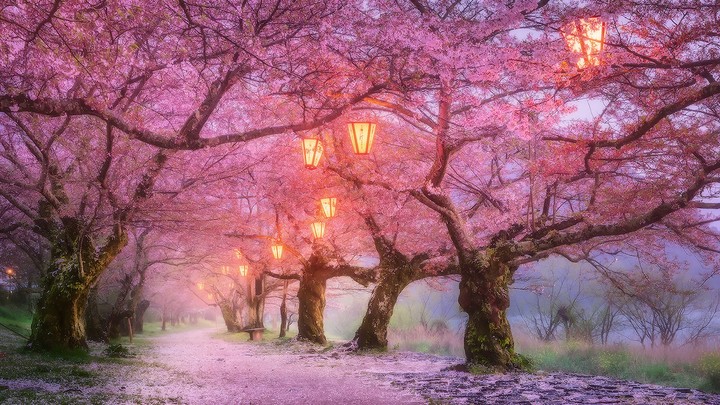 fabulously...