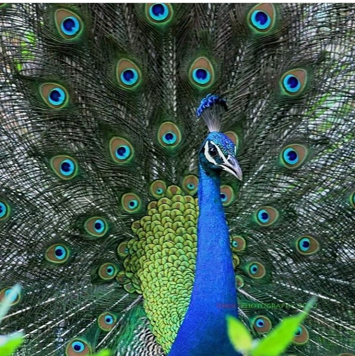 beautiful nature