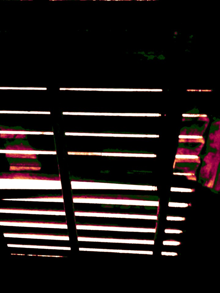 Window