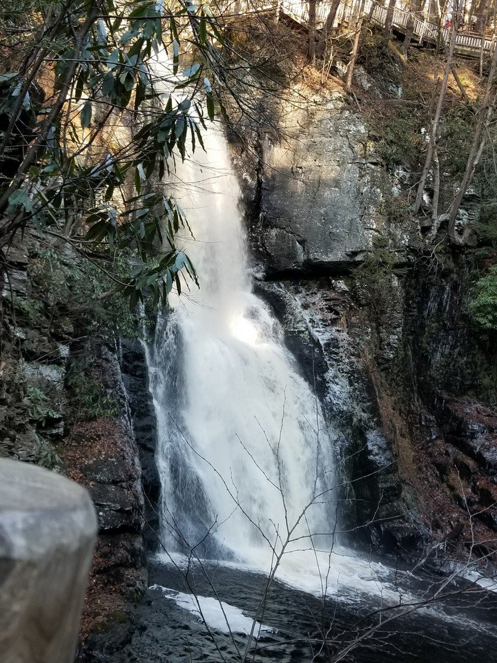 Bushkill Fall
