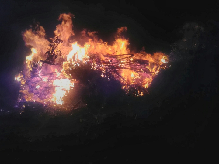fire