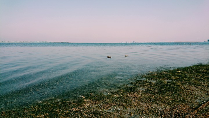 At The Bay