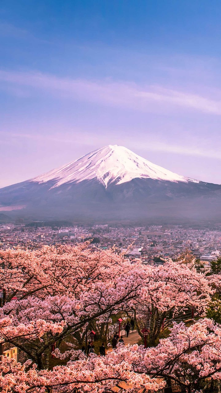 snow_mountain_flowers