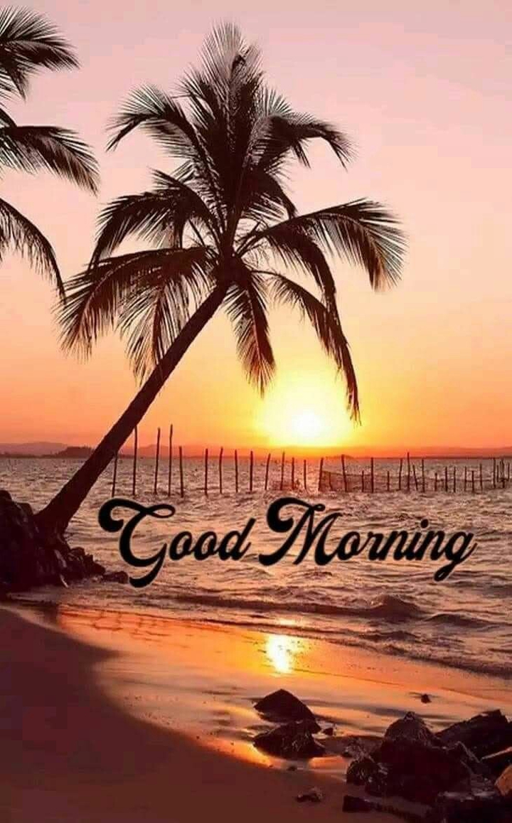 good morning