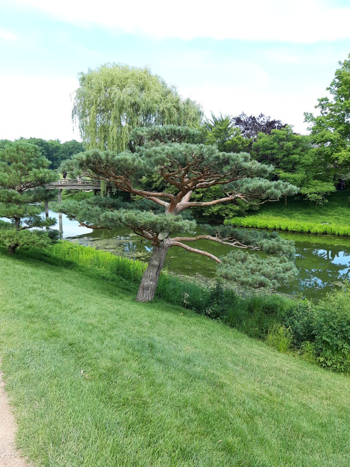 Chicago Botanic Garden