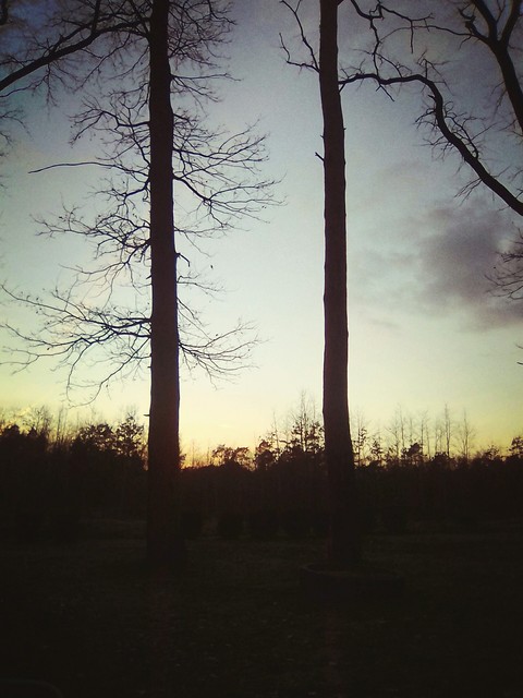 nature