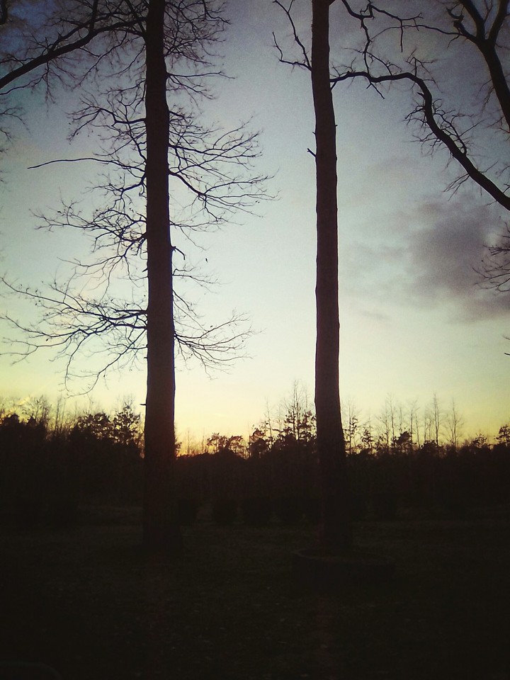nature