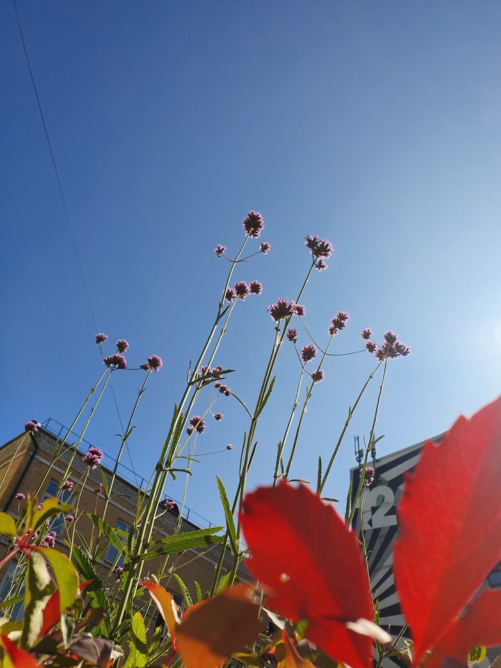 sky