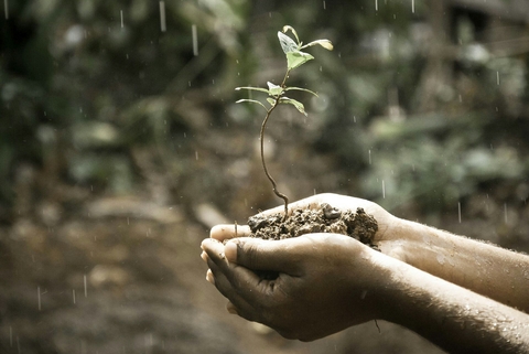 Rain over Life